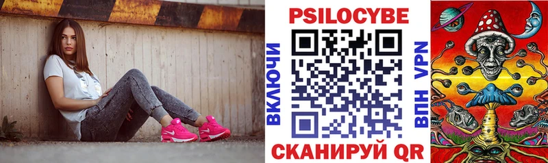 Галлюциногенные грибы Psilocybine cubensis Мураши