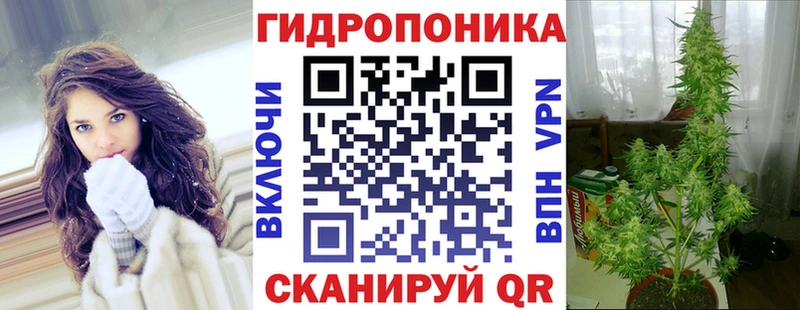 Конопля Ganja  Мураши 